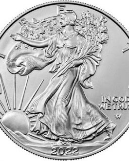 2022 1 oz American Silver Eagle Coin (60 coins)/3Tubes